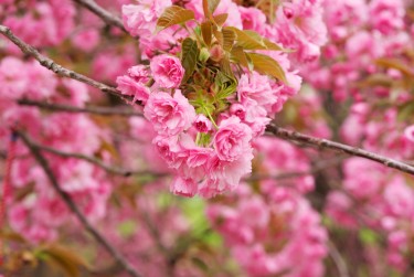 湖州南浔区线下个人借款平台一站式服务，轻松解决资金难题