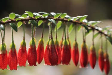 湖州南浔区零用贷短借：轻松解决临时资金需求