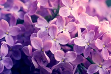 湖州南浔区企业急用钱贷款攻略：快速融资解燃眉之急